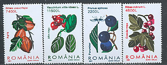 2001romania4442-45.jpg (31376 bytes)